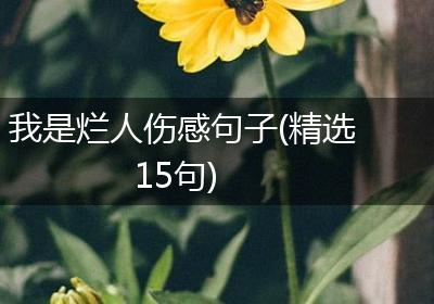 我是烂人伤感句子(精选15句)