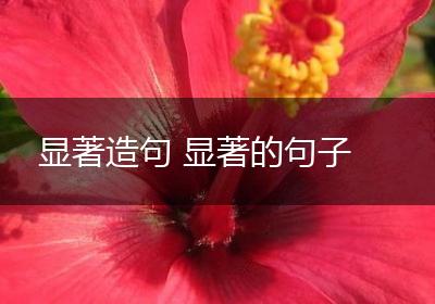 显著造句 显著的句子