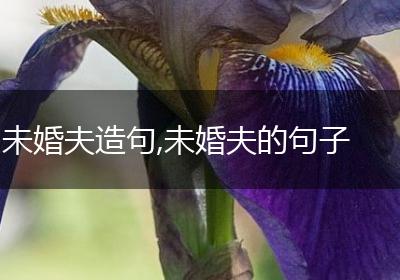 未婚夫造句,未婚夫的句子