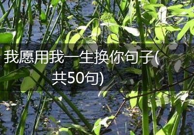 我愿用我一生换你句子(共50句)