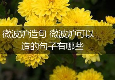 微波炉造句 微波炉可以造的句子有哪些