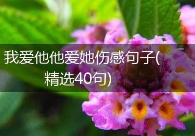 我爱他他爱她伤感句子(精选40句)