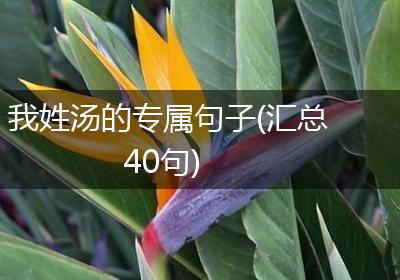 我姓汤的专属句子(汇总40句)