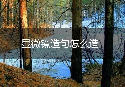 显微镜造句怎么造