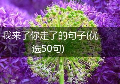 我来了你走了的句子(优选50句)