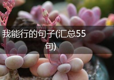 我能行的句子(汇总55句)