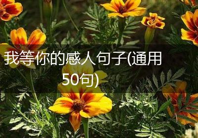 我等你的感人句子(通用50句)