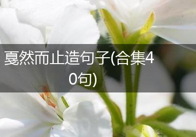 戛然而止造句子(合集40句)