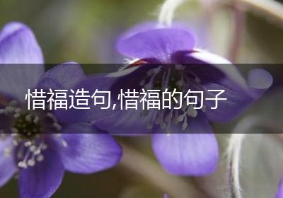 惜福造句,惜福的句子