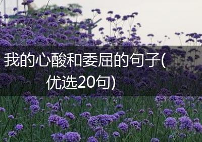 我的心酸和委屈的句子(优选20句)