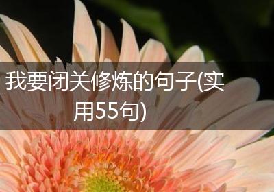 我要闭关修炼的句子(实用55句)