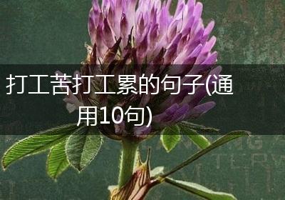 打工苦打工累的句子(通用10句)