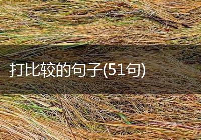 打比较的句子(51句)
