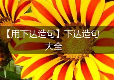 【用下达造句】下达造句大全