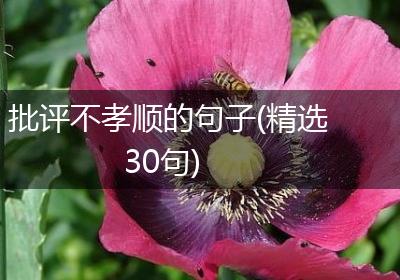 批评不孝顺的句子(精选30句)