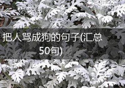 把人骂成狗的句子(汇总50句)