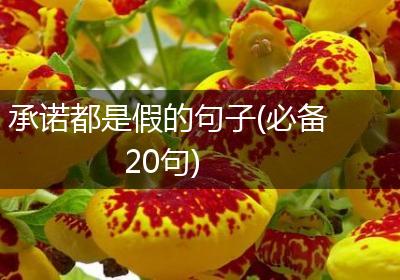 承诺都是假的句子(必备20句)