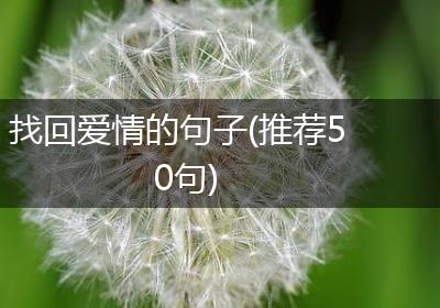 找回爱情的句子(推荐50句)