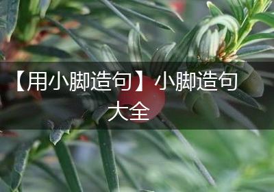 【用小脚造句】小脚造句大全