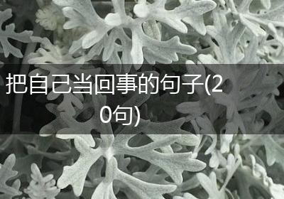 把自己当回事的句子(20句)