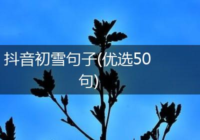 抖音初雪句子(优选50句)