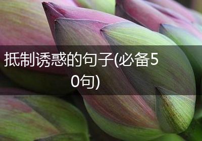 抵制诱惑的句子(必备50句)