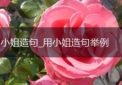 小姐造句_用小姐造句举例