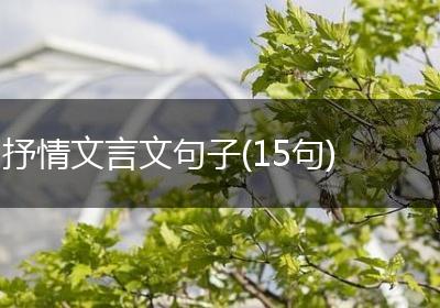 抒情文言文句子(15句)
