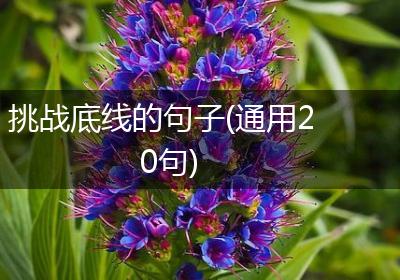 挑战底线的句子(通用20句)
