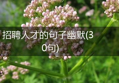 招聘人才的句子幽默(30句)