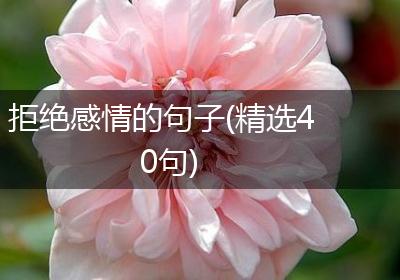 拒绝感情的句子(精选40句)