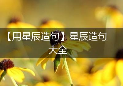 【用星辰造句】星辰造句大全