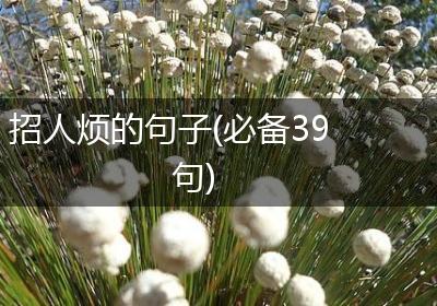 招人烦的句子(必备39句)