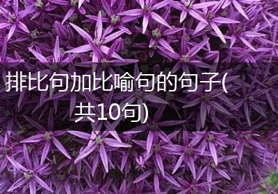排比句加比喻句的句子(共10句)