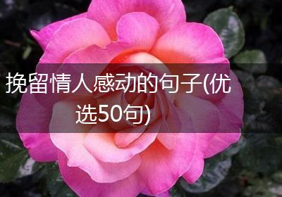 挽留情人感动的句子(优选50句)