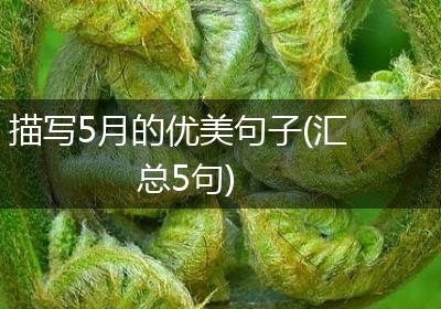 描写5月的优美句子(汇总5句)