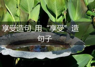 享受造句_用“享受”造句子