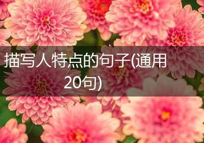 描写人特点的句子(通用20句)