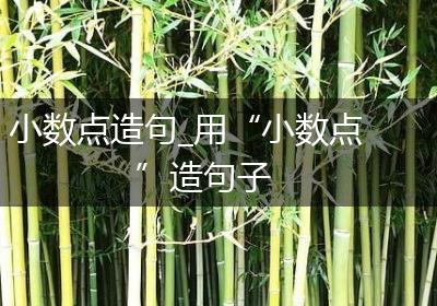 小数点造句_用“小数点”造句子