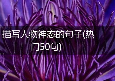 描写人物神态的句子(热门50句)