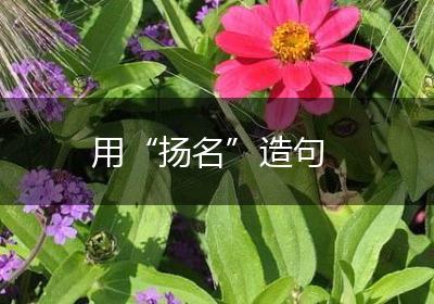 用“扬名”造句