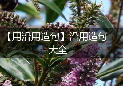 【用沿用造句】沿用造句大全