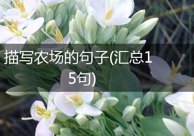 描写农场的句子(汇总15句)
