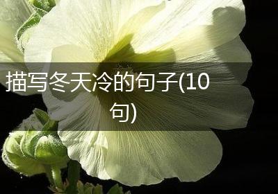 描写冬天冷的句子(10句)
