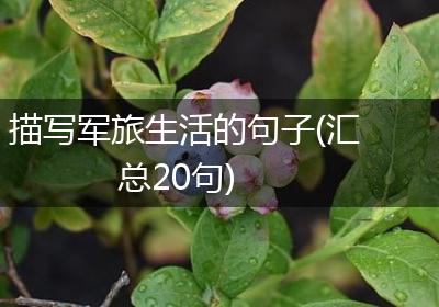 描写军旅生活的句子(汇总20句)