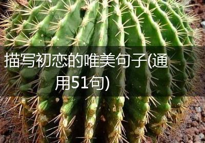 描写初恋的唯美句子(通用51句)