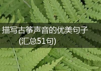 描写古筝声音的优美句子(汇总51句)