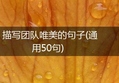 描写团队唯美的句子(通用50句)