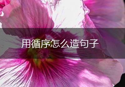 用循序怎么造句子