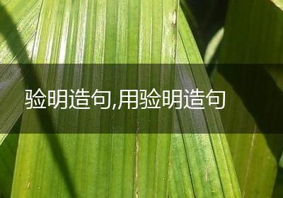 验明造句,用验明造句